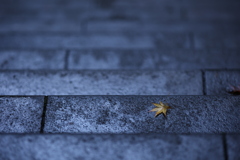 紅葉を狩るにしても