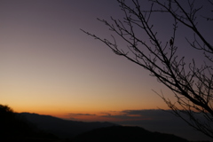 初冬　残照