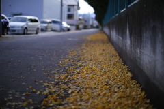 秋の足跡のように