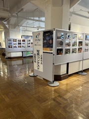 函館市電フォトコンテスト