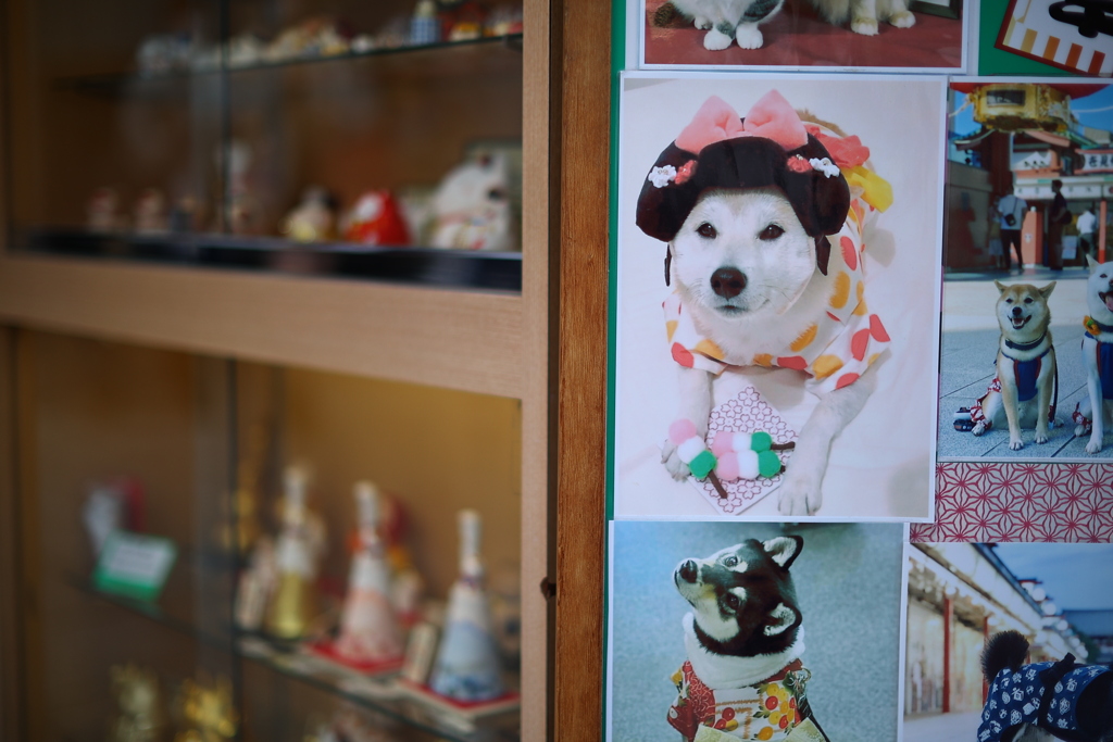 仲見世でポートレートを学ぶ。