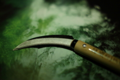 これをいじってどうする・・・