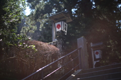 礼参に。