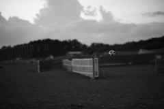 つかんで離さず