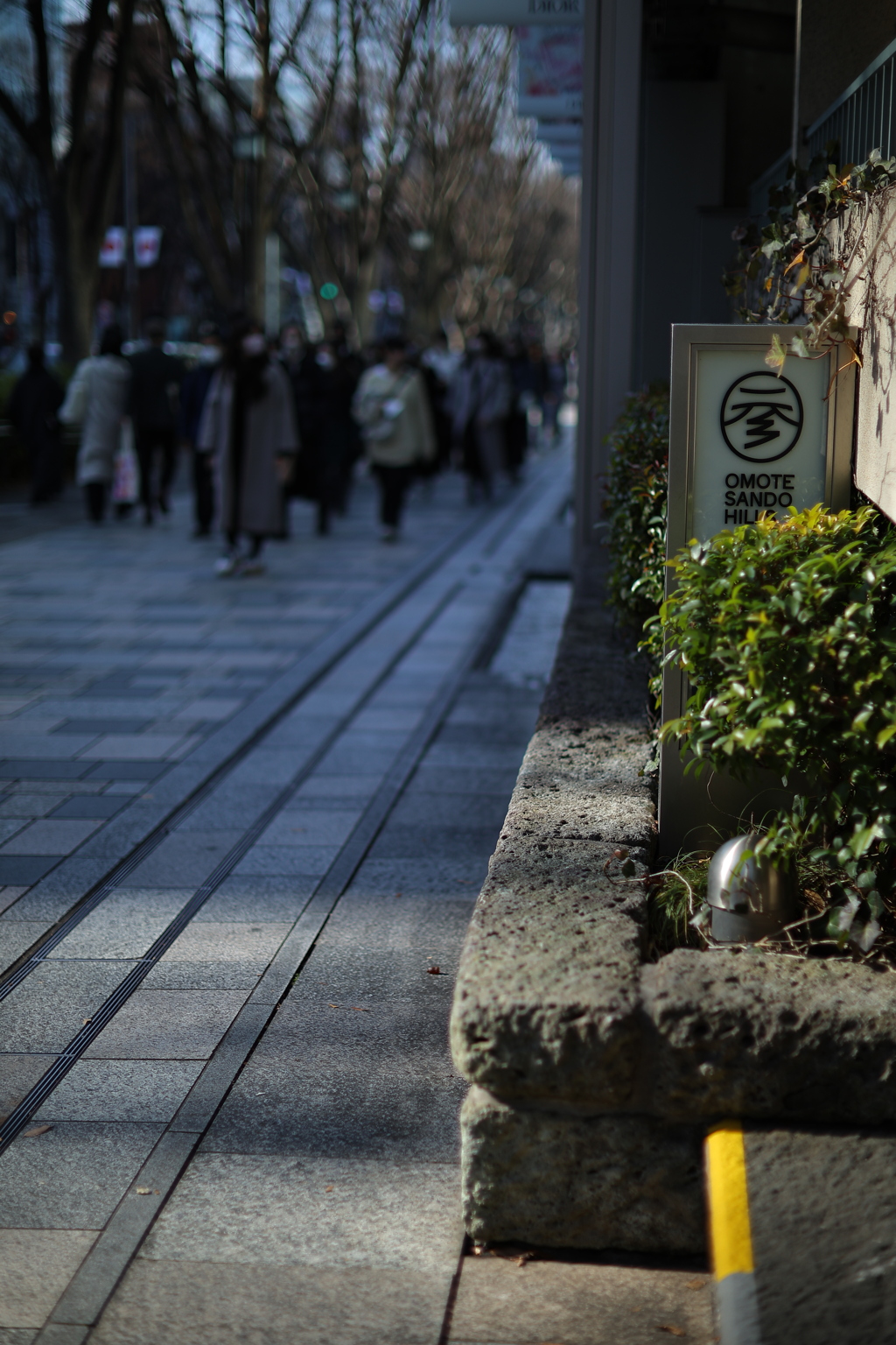 懐かしのヒルズ