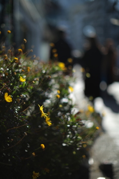 トボトボトボトボ