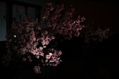 目黒雅叙園