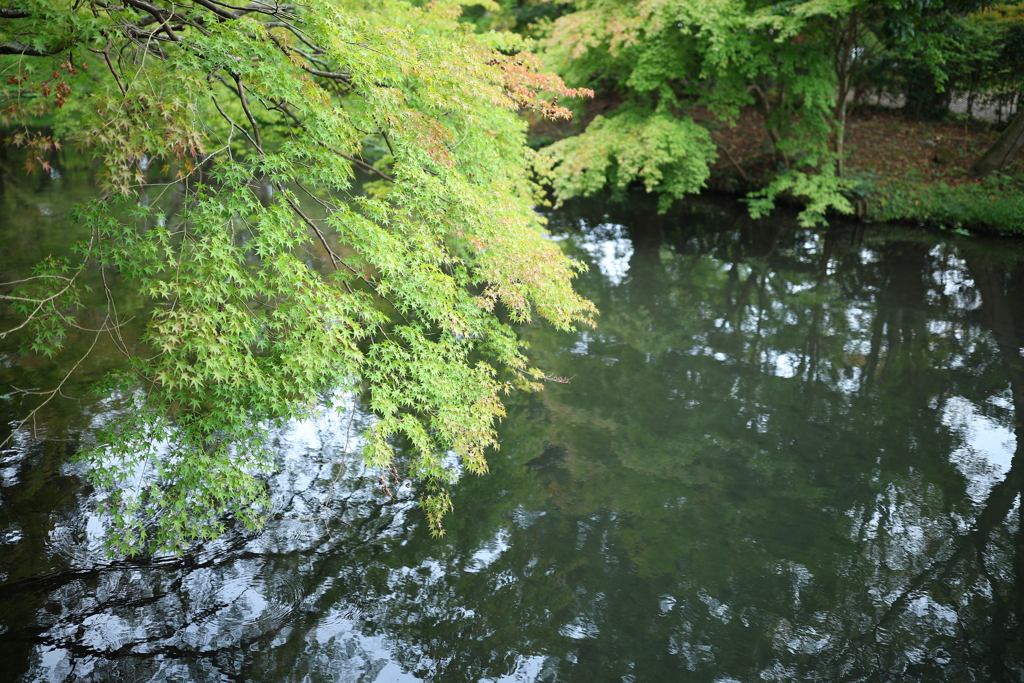 金隣湖は秋の始まり