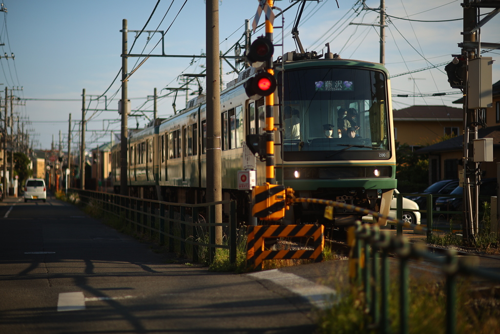 楽しく撮れました。