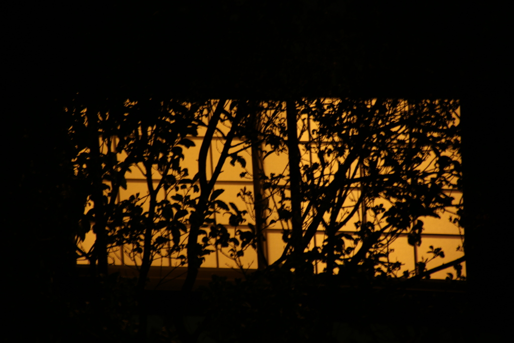 窓の明かり by GX400sp （ID：9556241） 写真共有サイトPHOTOHITO