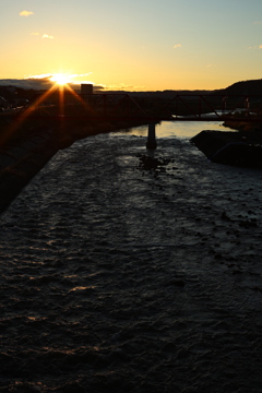 千曲川からアサヒング