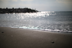 たまには玉ボケなんかかましてみる。