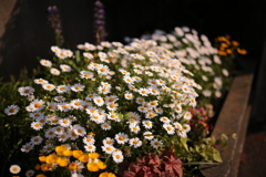 正門の横がイイ