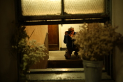 早撃ちはC社に軍配