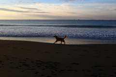 今日は、勝手に梅雨明け宣言！
