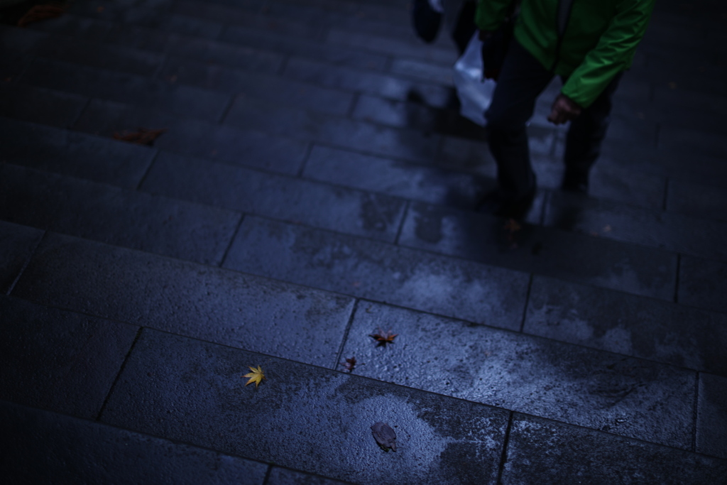 紅葉もいい加減にしなさいよ