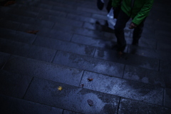 紅葉もいい加減にしなさいよ