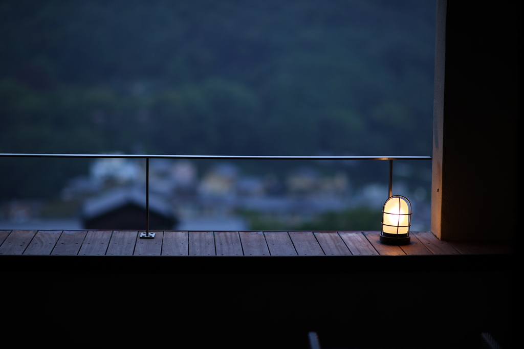 こいつばかり撮った。②