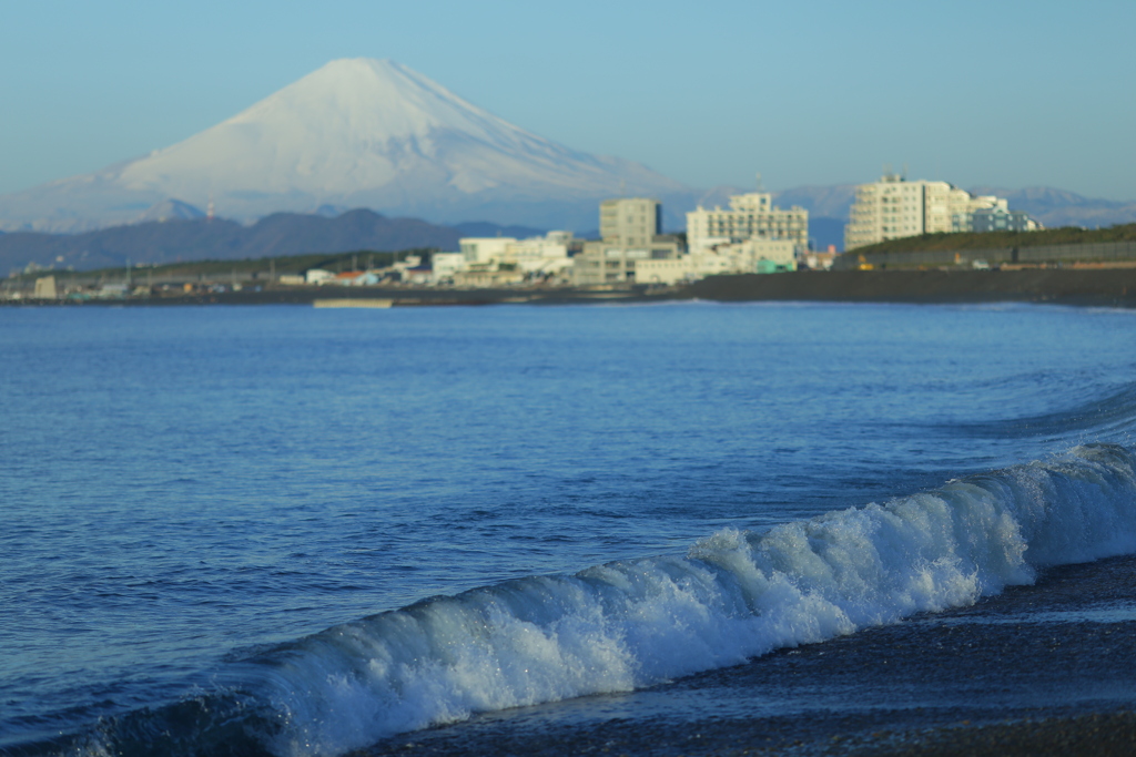 気に入りました。