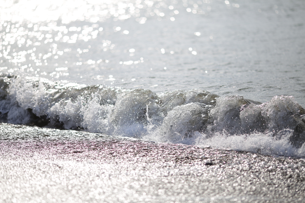 朝の海へお散歩に