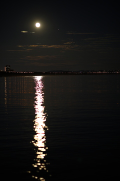 2023 Oct. Moon Beams