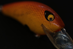 Daiwa Balsa Mac 1981