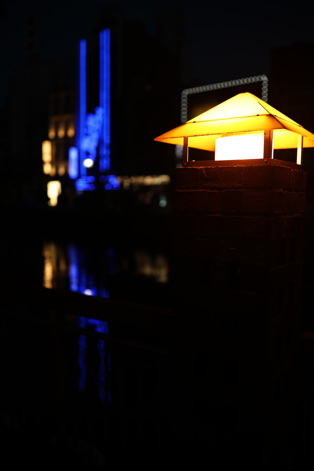 夜の顔