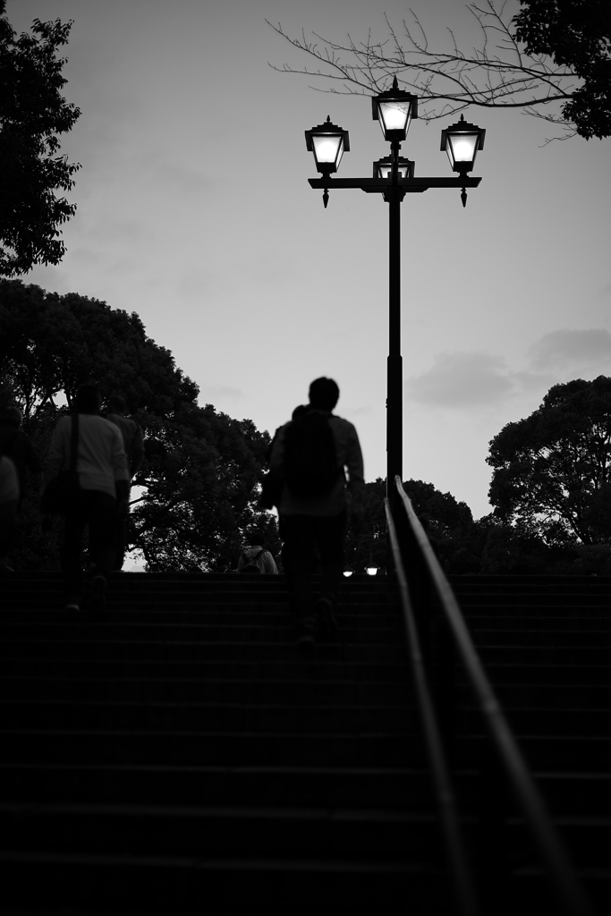 2019のあの店へ。