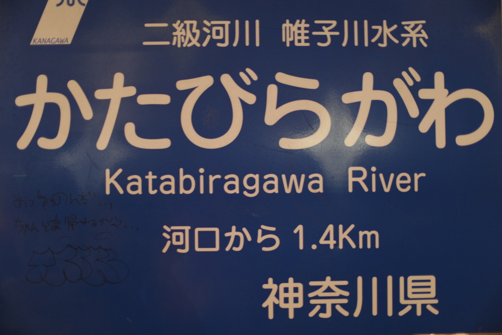 ちゃんと帰れよ