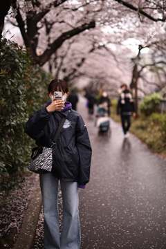 桜に誘われて