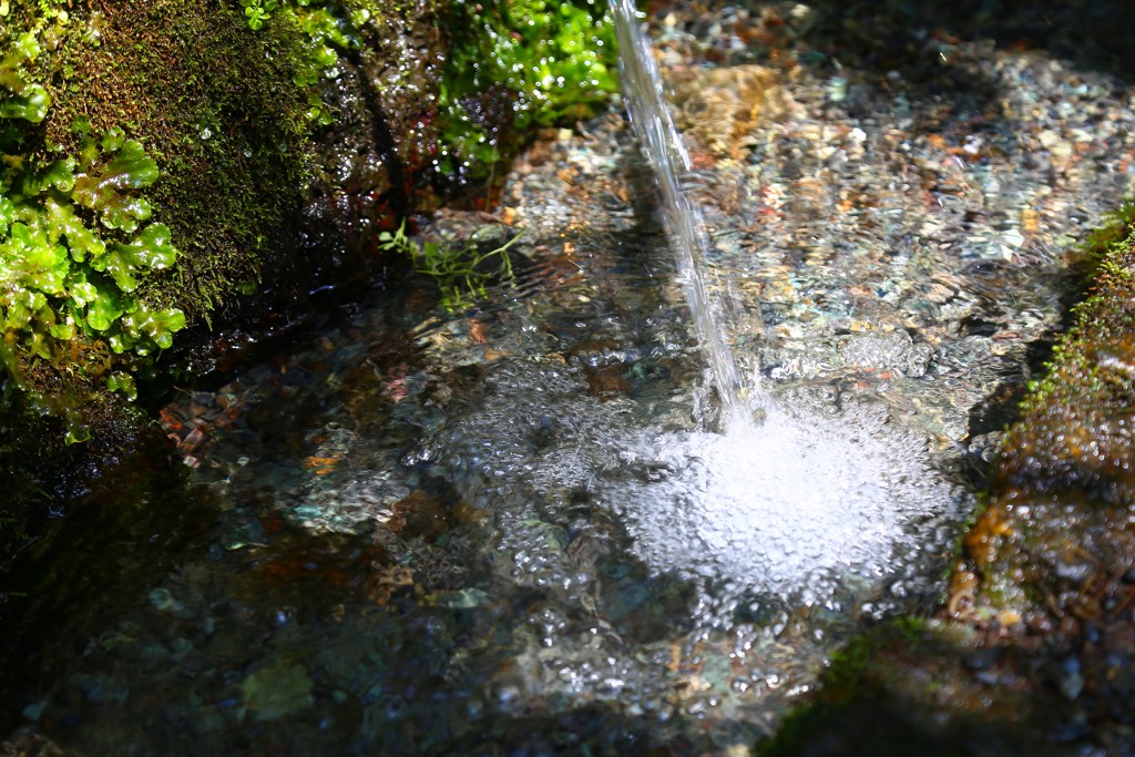 富士の湧水