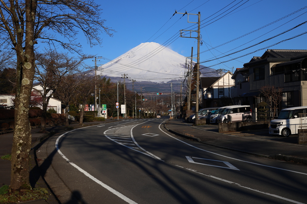 ドデカイ富士山のいる街