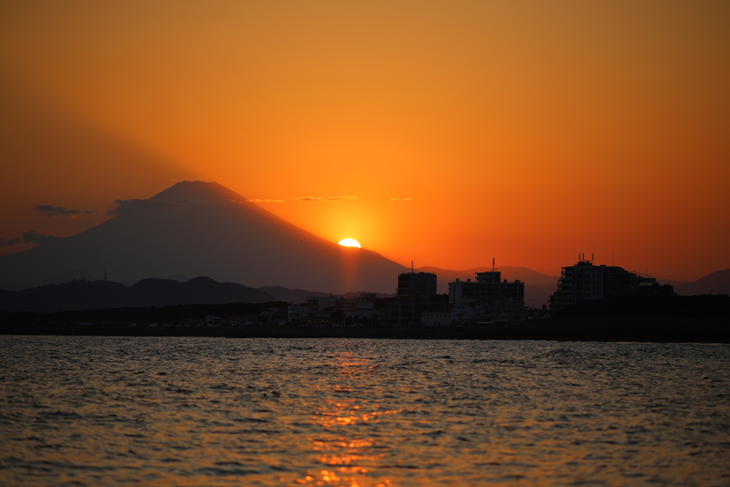 6日間分の無念