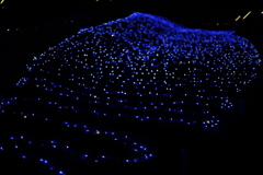 ただ、欲しかった。