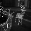 クリスマス