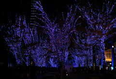 夜スナ行きたいっす