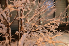 "NANGAN" Low pressure