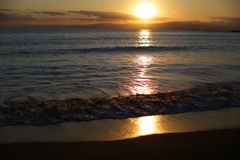 ガンタンのニチボツ