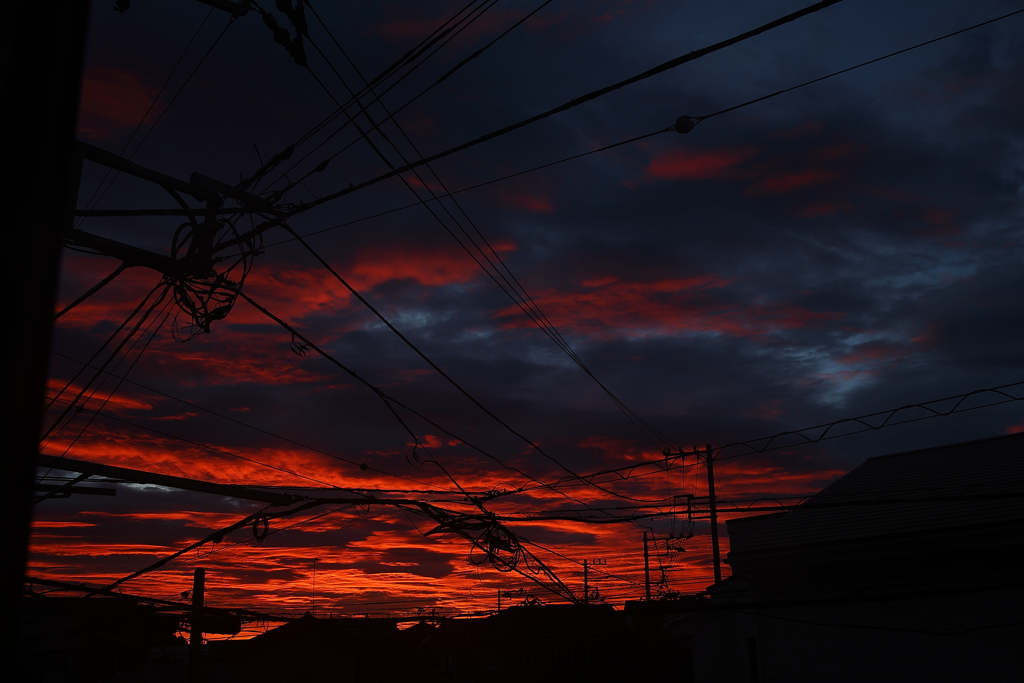 机落ちした朝に