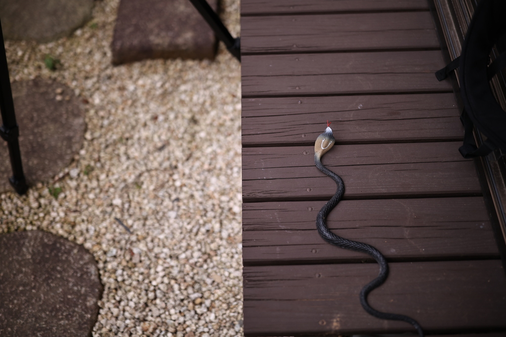 ハッ！母のイタズラ。