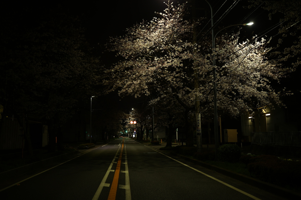 違和感と胸騒ぎ