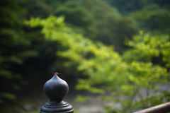 晩夏の神橋