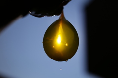 つかまえた午後の太陽