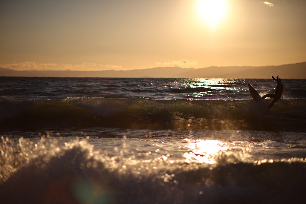 嬉しい飛び入り