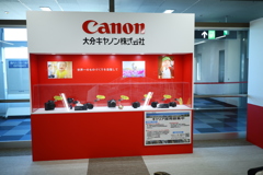大分のキャノン