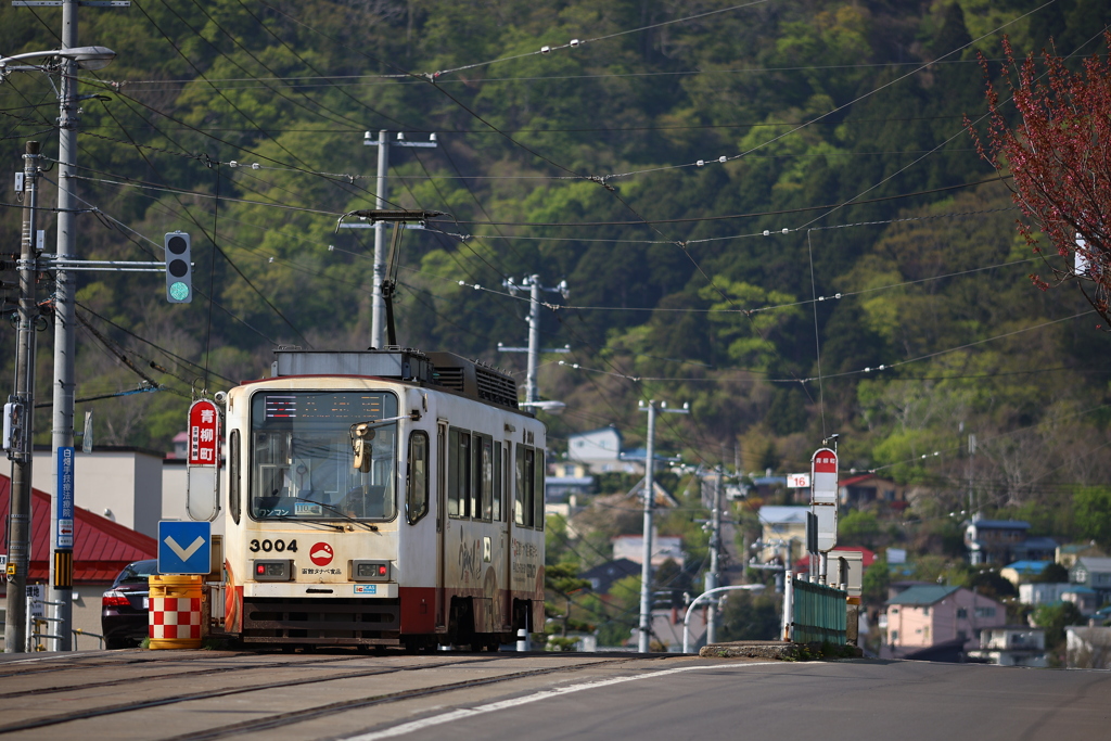 青柳町を行く谷地頭行き