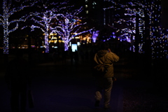 Mr.6Dと歩いた。