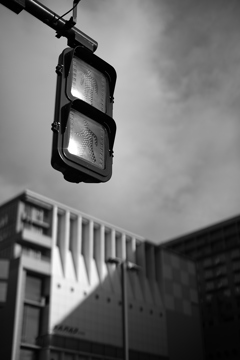 キョウト-スナップ昼の部（後半3