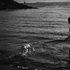 海へ
