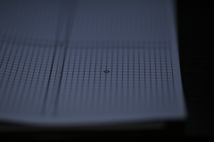 やり直しかよ(-_-;)